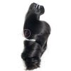 Natural Bounce Wavy Raw Hair Bundle